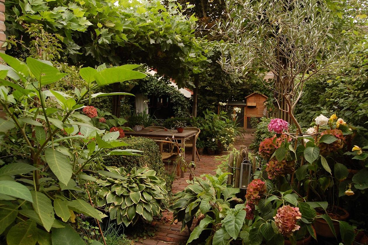 Wie presenteert eigen huis en tuin?